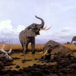 Kuhnert_Wilhelm_In_The_Twilgiht_Elephants
