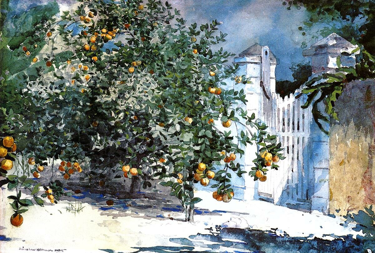 Homer_Winslow_Orange_Tree_Nassau_aka_Orange_Trees_and_Gate