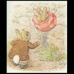 benjamin_bunny peter_rabbit