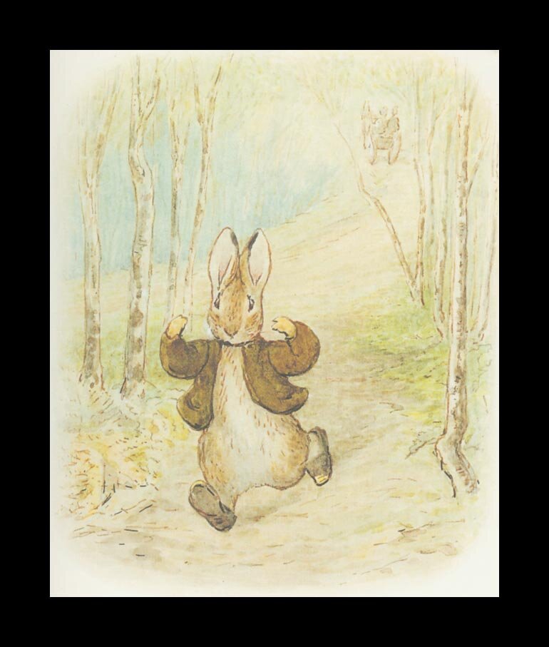 benjamin_bunny3a_11x12
