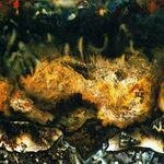 David Alfaro Siqueiros