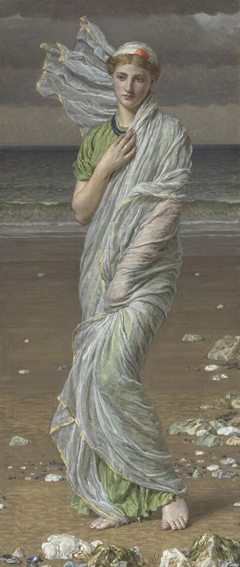 Moore_Seashells.jpg