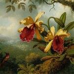 Orchids_and_Hummingbird_ATC